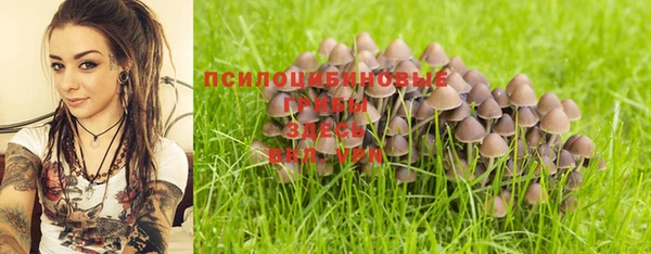 сатива Костерёво