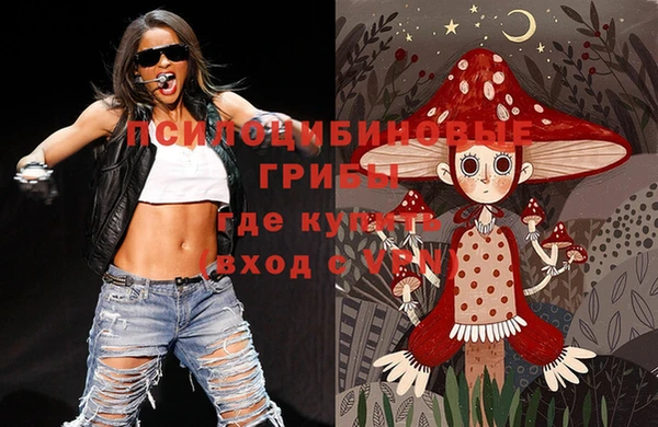 прущие грибы Кинешма