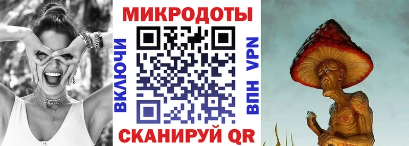 Купить  Валдай  Псилоцибиновые грибы MAGIC MUSHROOMS 